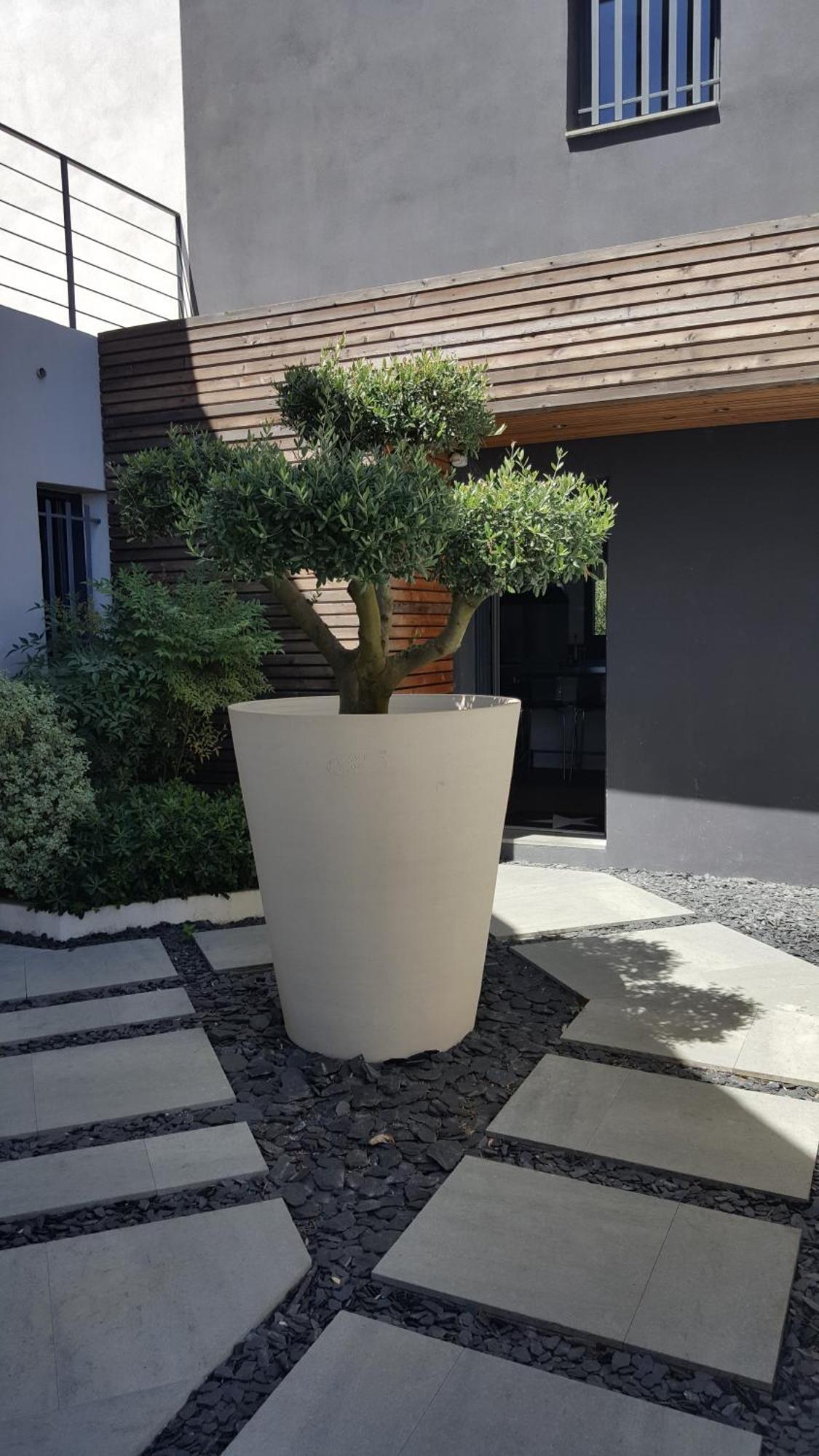 Villa Montpellier Ngoại thất bức ảnh